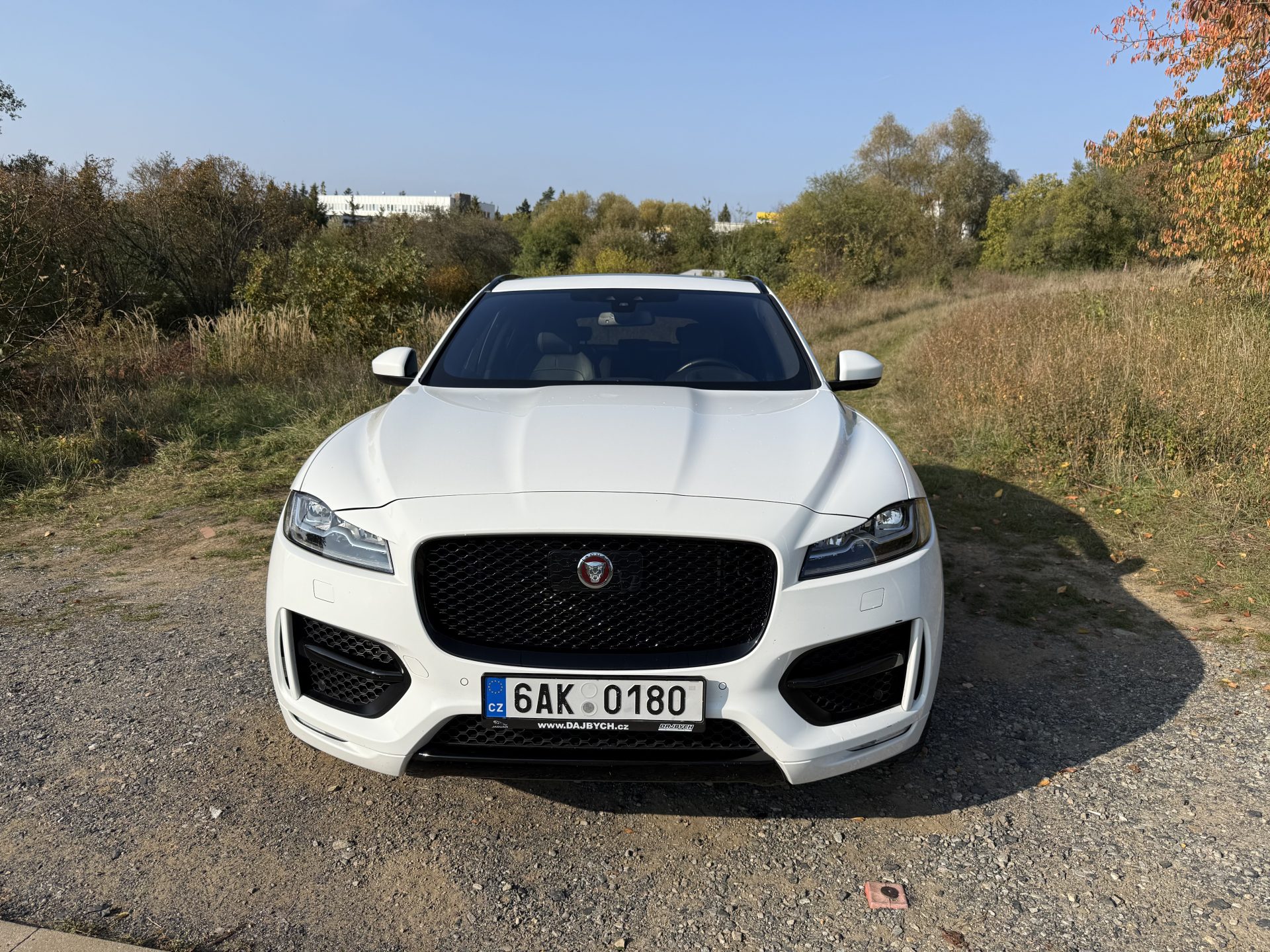 Jaguar F-Pace 3.0d AWD R-Sport